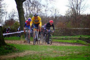 spektakel in de zandbak